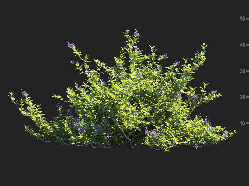 Maxtree - Plant Models Vol.112
