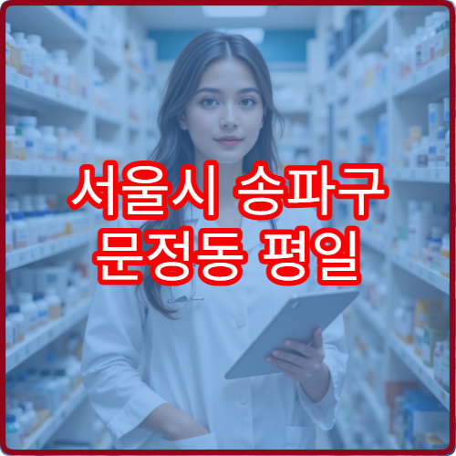 서울시 송파구 문정동 평일 야간 약국 야근 후 방문 가능한 약국 안내