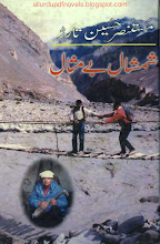 Download Shimshal Bemisaal by Mustansar Hussain Tarar