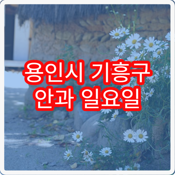 용인시 기흥구 안과 일요일 진료 병원 시력검사 및 눈질환 주말 진료 병원 안내