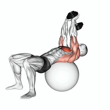 Stability Ball Dumbbell Pullover