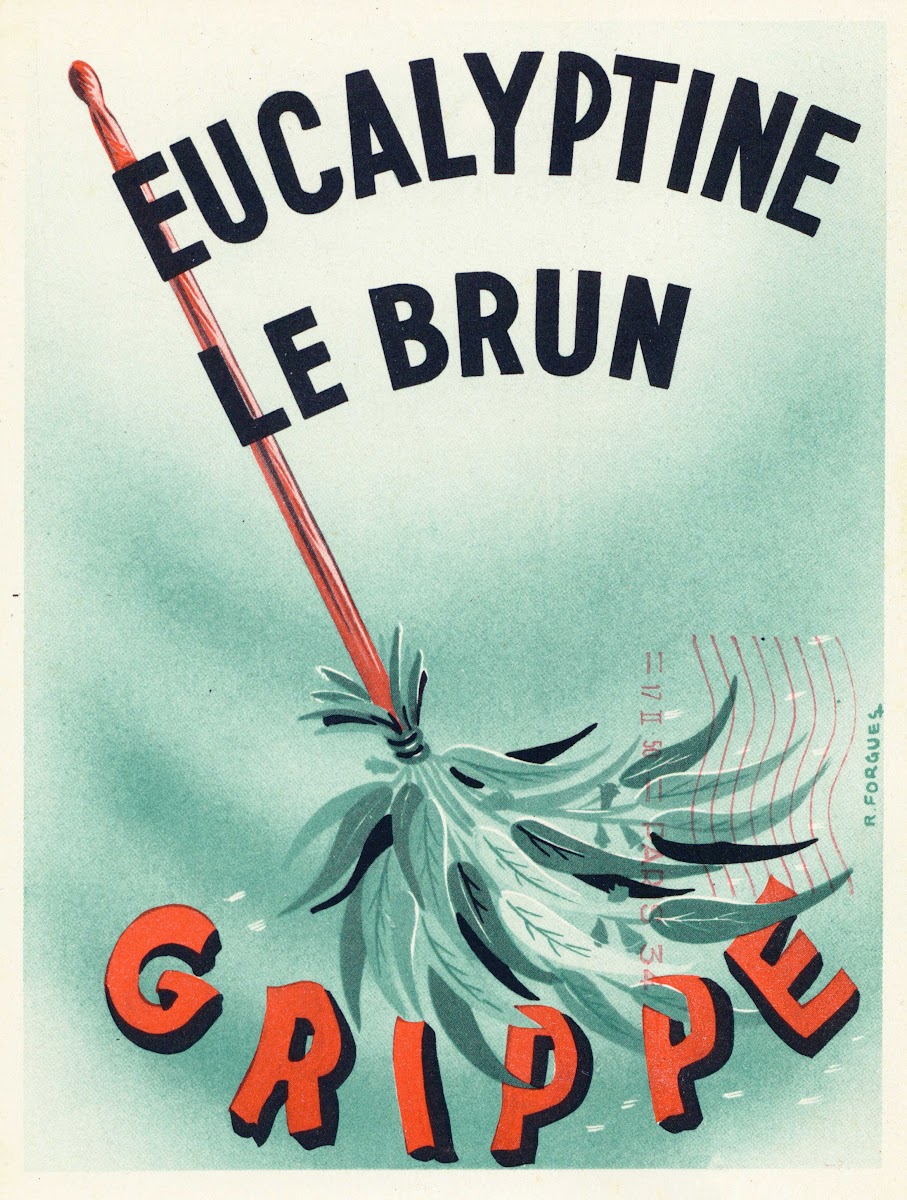 Eucalyptine Le Brun 1910 1950
