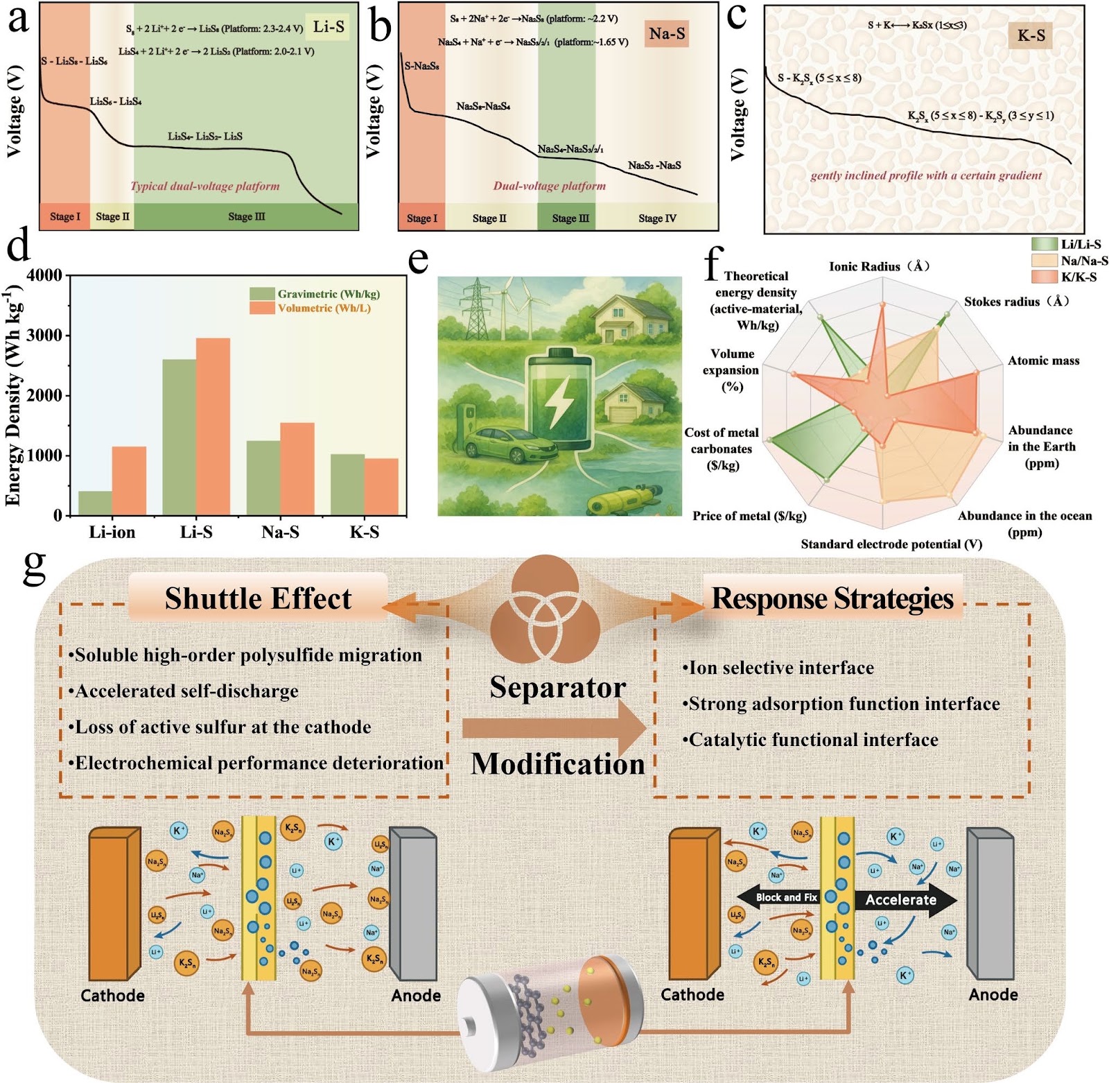 Interface Engineering Strategies for Shuttle Mitigation in Alkali Metal–Sulfur Batteries: A Comparative Review from Li–S to Na–S and K–S Systems