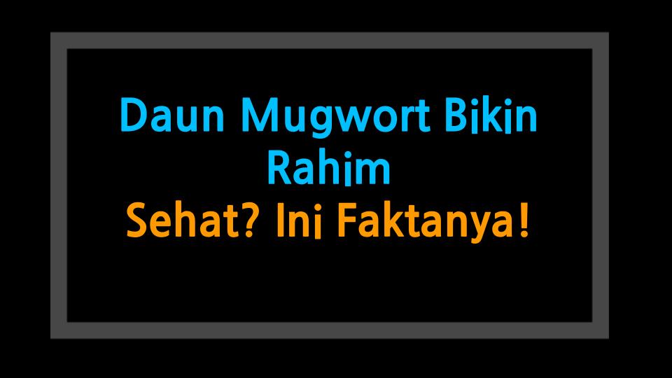 Daun Mugwort Bikin Rahim Sehat? Ini Faktanya!