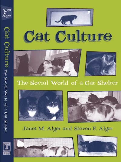 Cat Culture- The Social World Of A Cat Shelter 91964