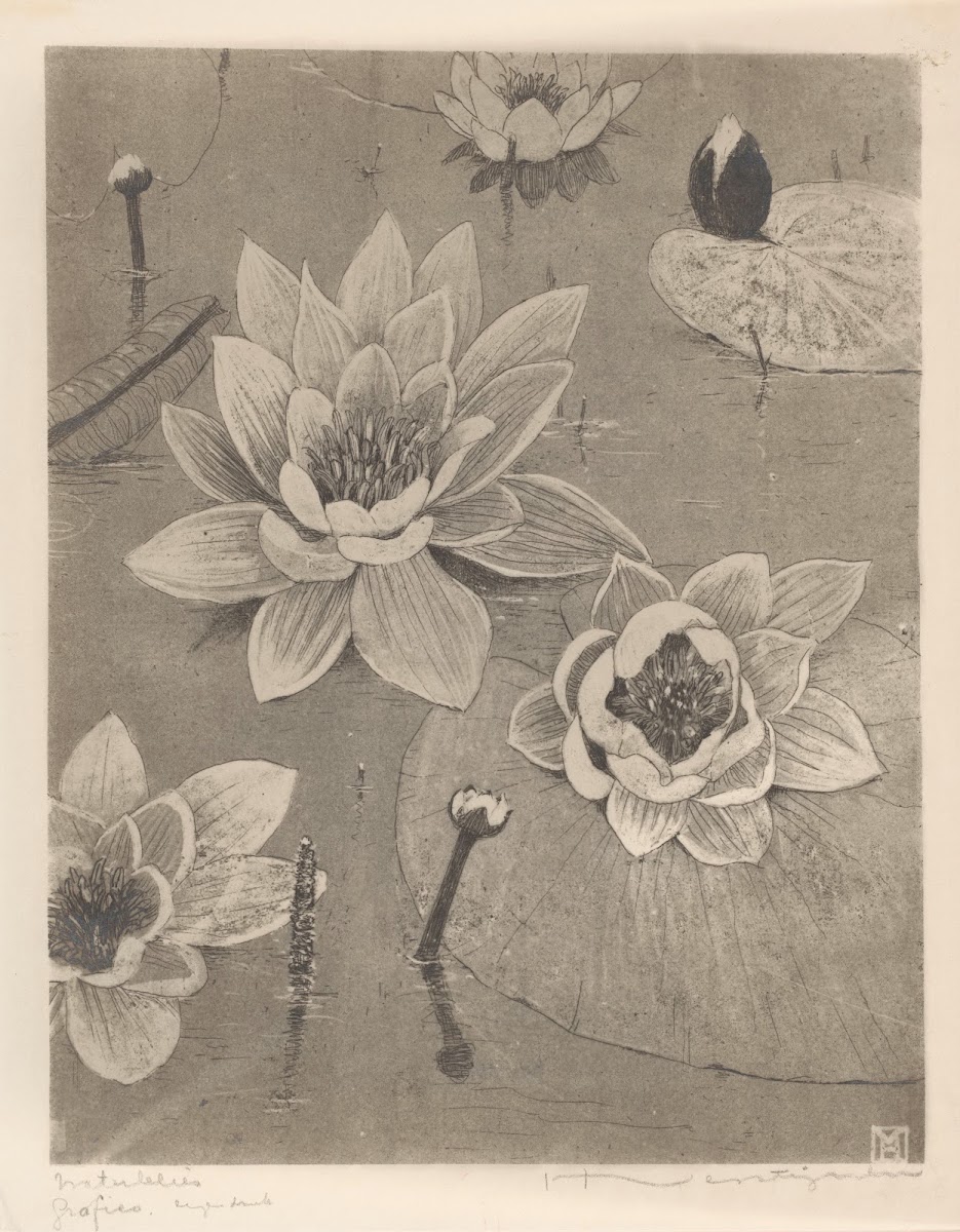 Waterlelies 1892 1940