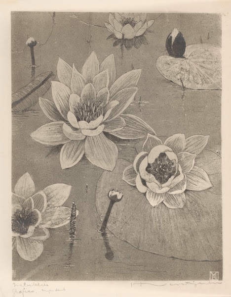 Waterlelies 1892 1940