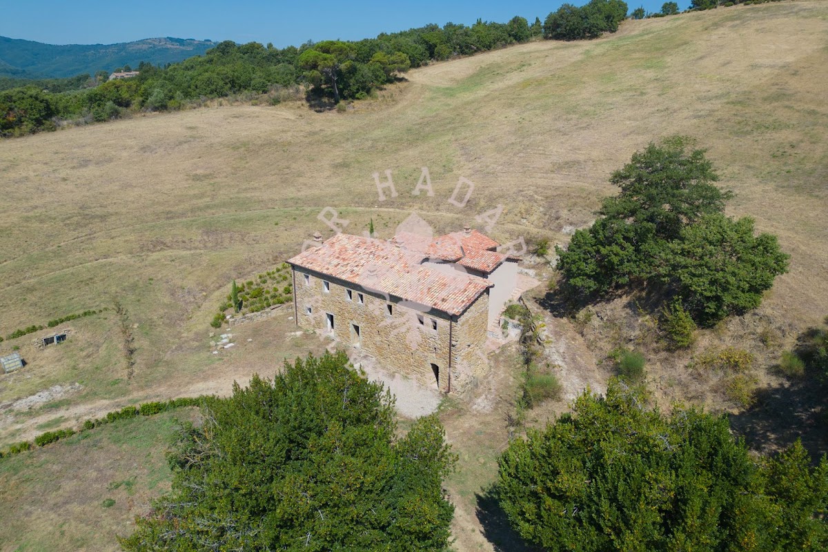 פודרה לה טולפה (Podere la Tolfa) — 15