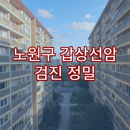 노원구 갑상선암 검진 정밀 검사 절차 가능한 병원 리스트