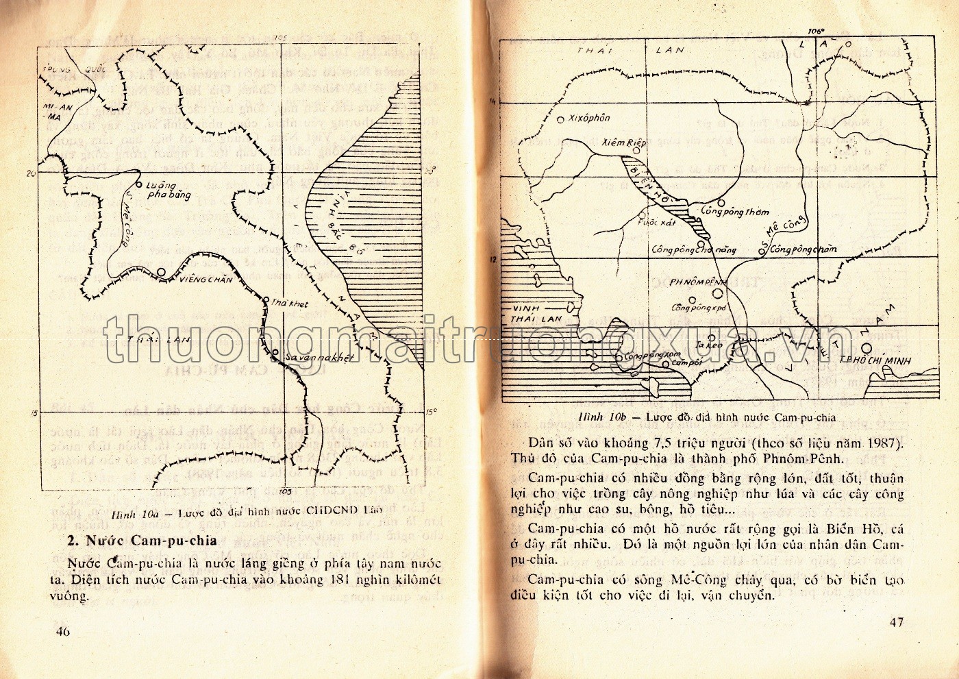 Tìm hiểu tự nhiên và xã hội 4 phổ cập (1992) - Trang 50