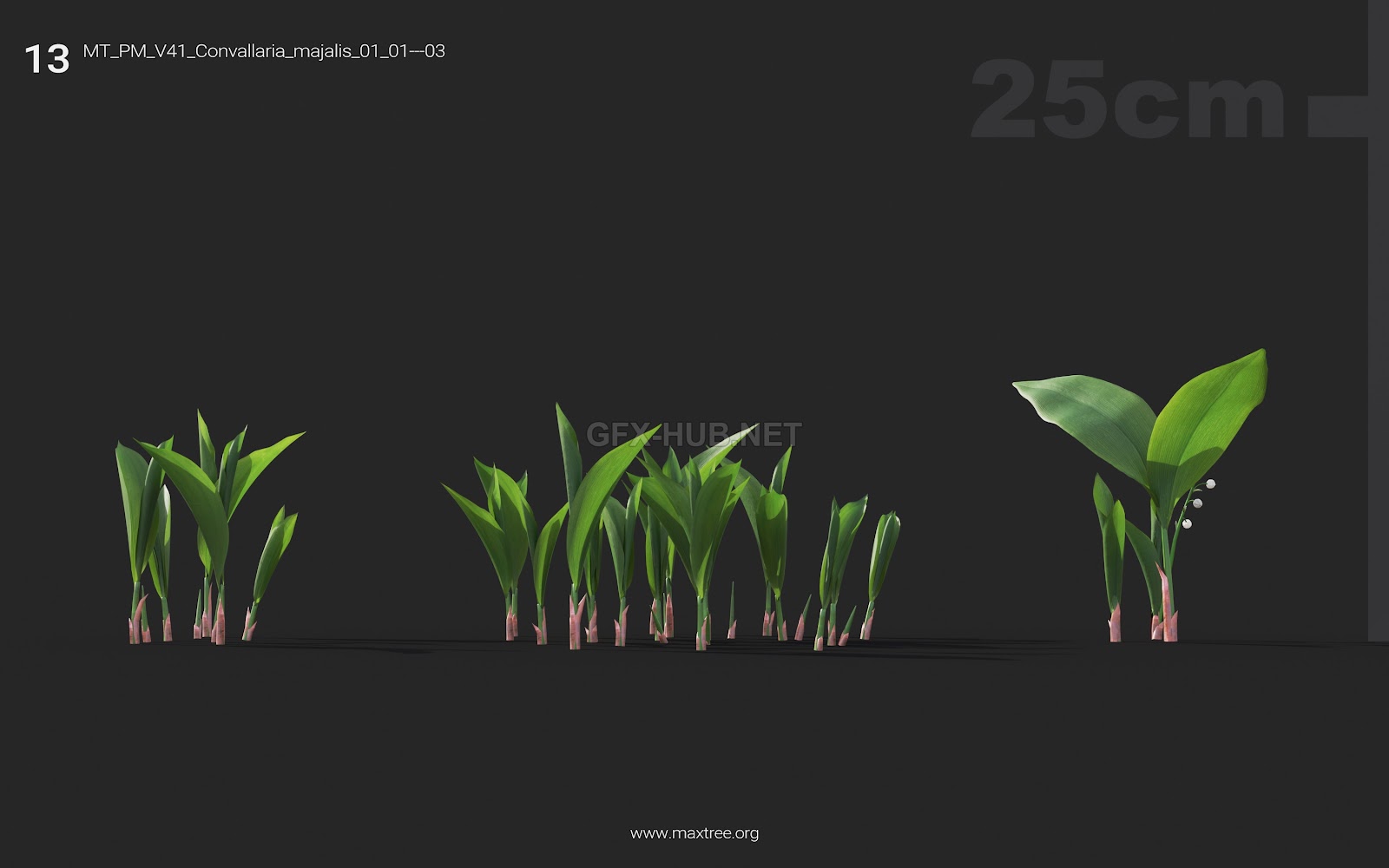 Maxtree - Plant Models Vol.41