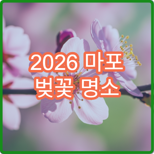 2026 마포 벚꽃 명소 TOP5 여의도 경의선숲길 순위와 가는법