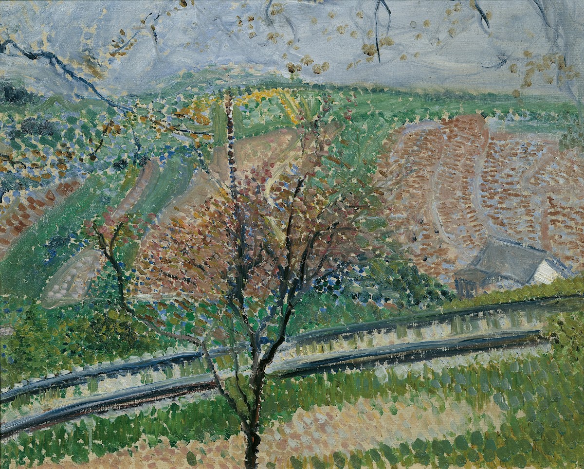 Trasse der Zahnradbahn auf den Kahlenberg 1907
