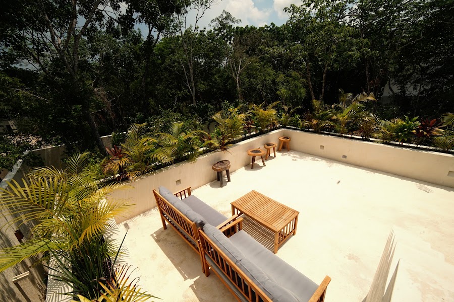 Rooftop lounge over the treetops