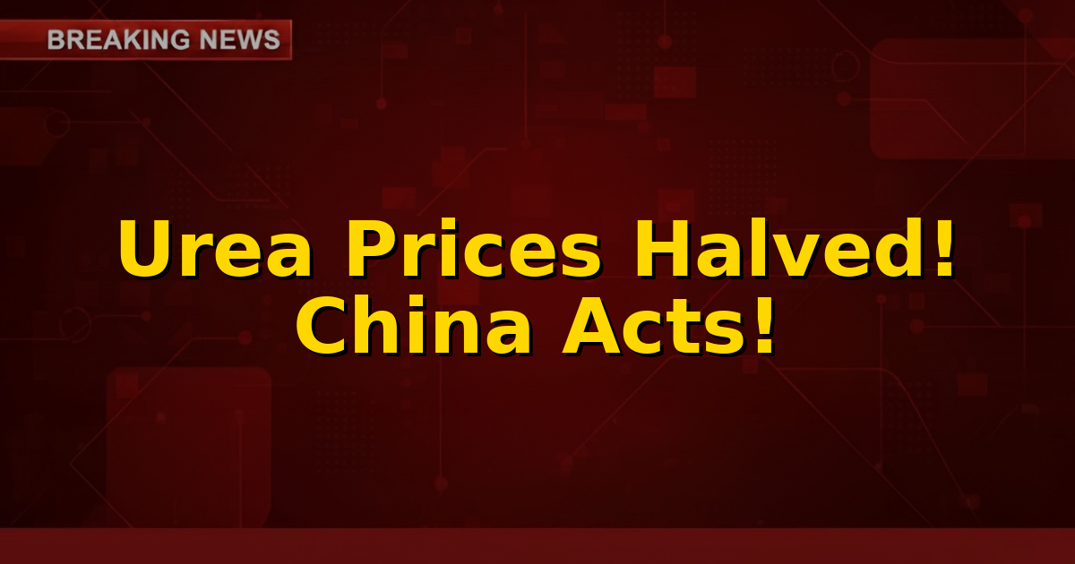 A graphic depicting falling urea prices with a map highlighting China and India, symbolizing eased exports and cheaper imports.