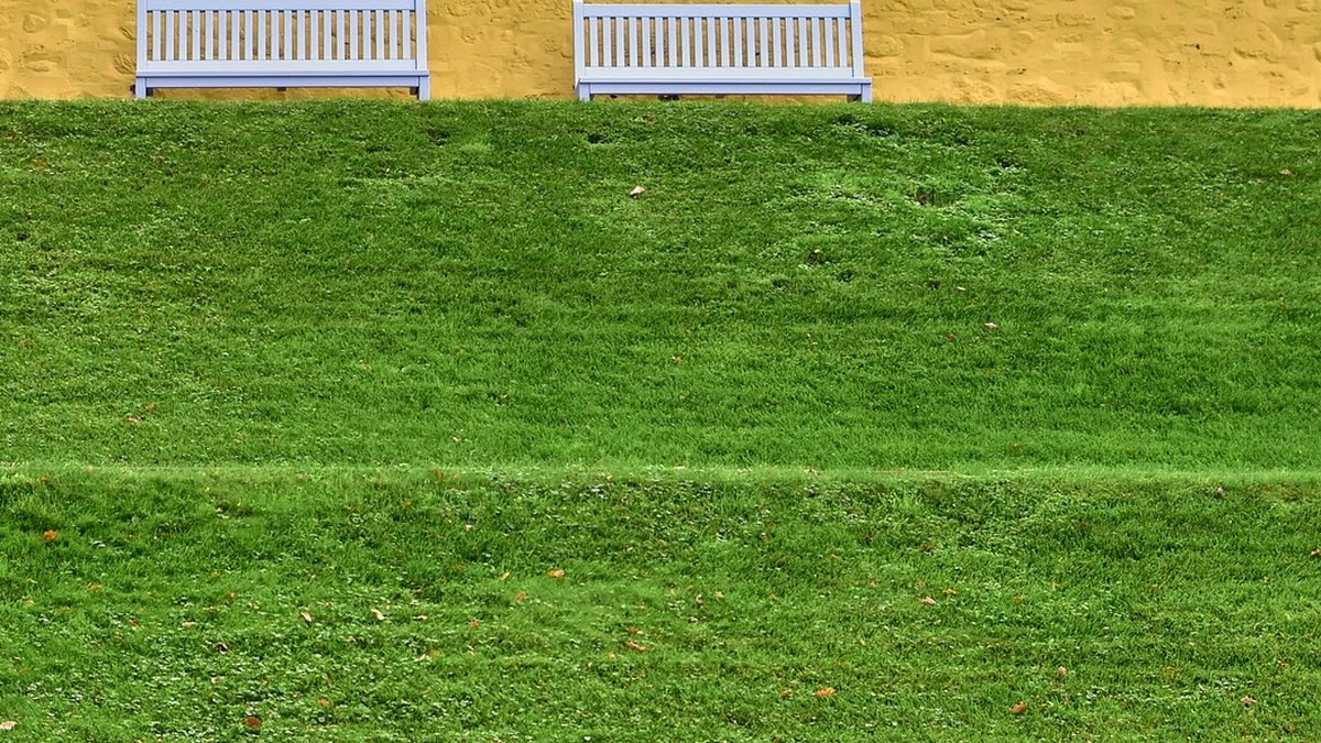 CMS 자동이체 관리법과 불