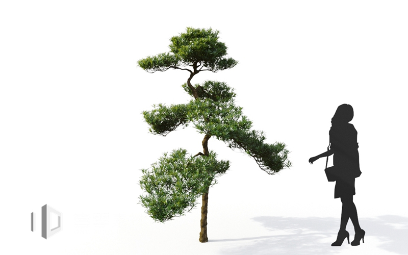 Maxtree - Plant Models Vol.9