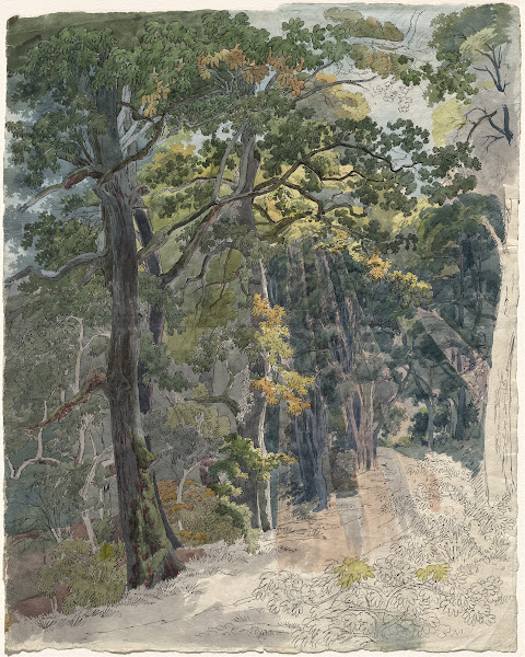 Rays of Sunlight Striking a Woodland Path c 1815