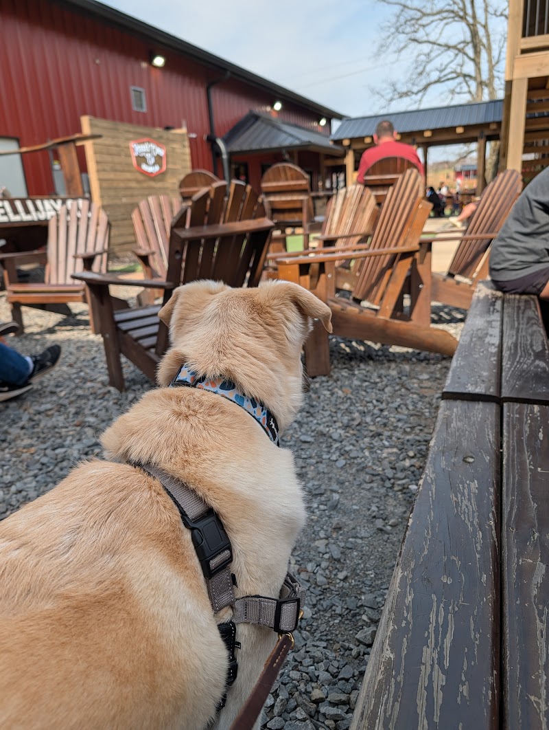 Dog-friendly patio at Reece's Cider Co., a Host Pick on the Explore tab near Orchard & Vine Mountain Haus in Ellijay, Georgia