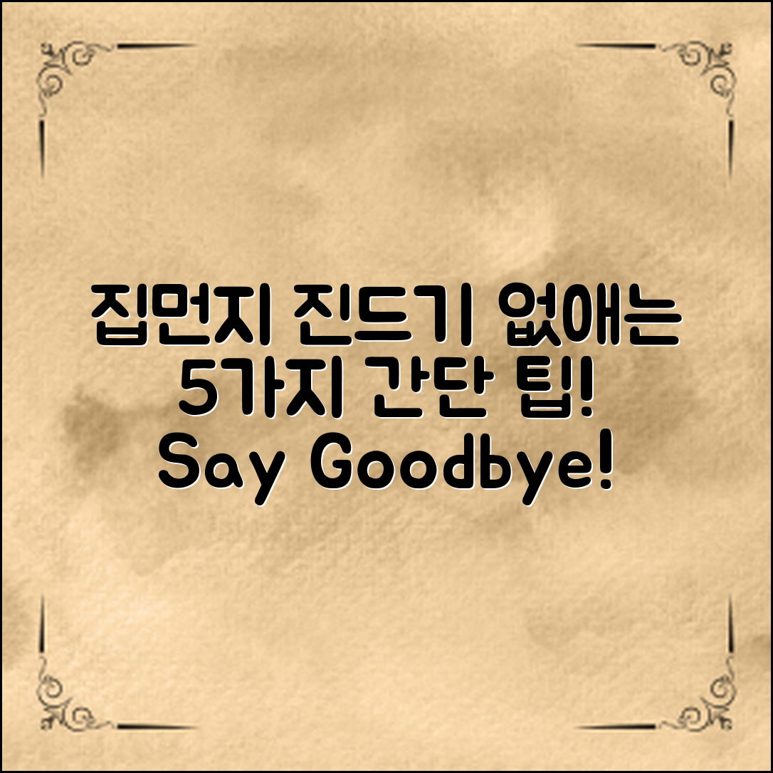 집먼지진드기 없애는 법: 5가지 간단한 팁!