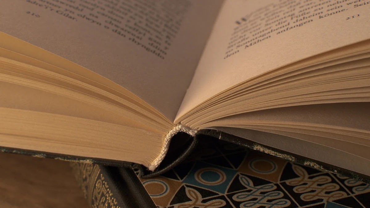 스택과 큐의 내부 구조 및 알고리즘 적용 차이 정리