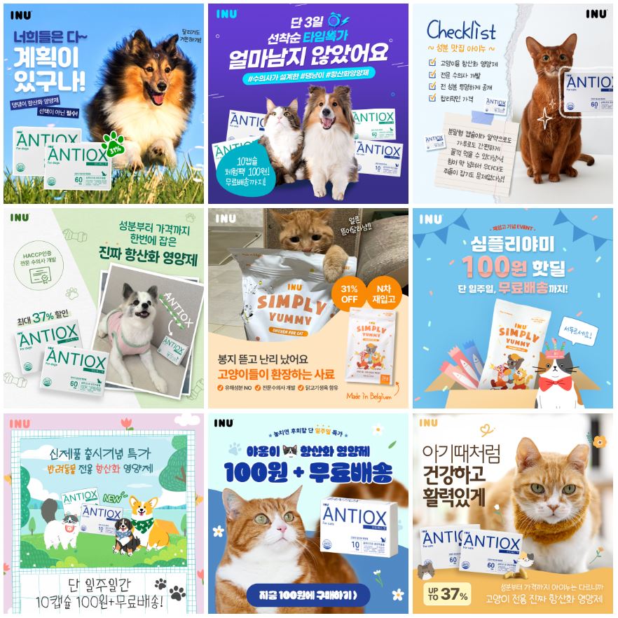 Pet Healthcare Campaign