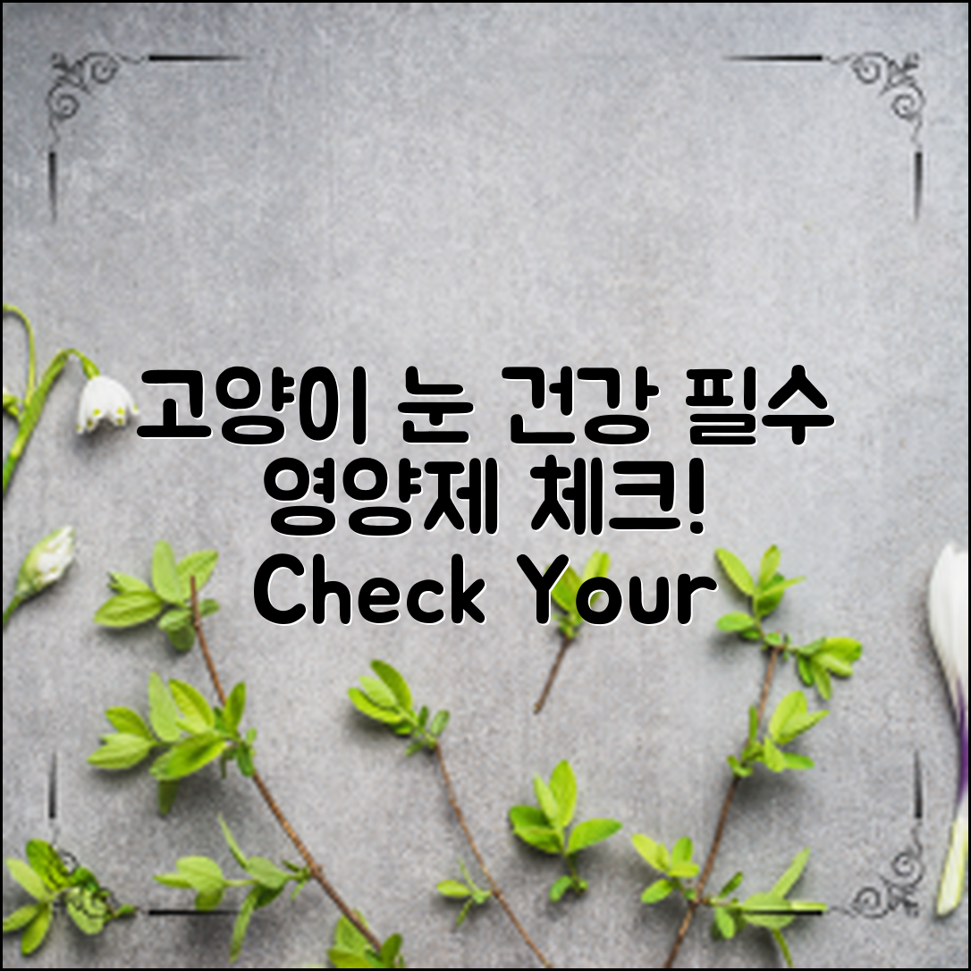 고양이 눈 건강 영양제, 필수 체크리스트!