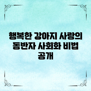 강아지사회화교육, 강아지 훈련, 사회화 훈련, 행복한 반려견, 강아지 행동 교정