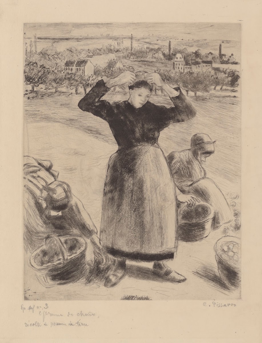 Récolte de pommes de terre 1886