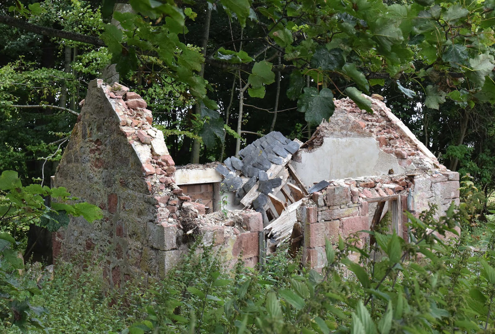 Udale_story_small_bldg_broken_roof_Udale0822_12.jpg