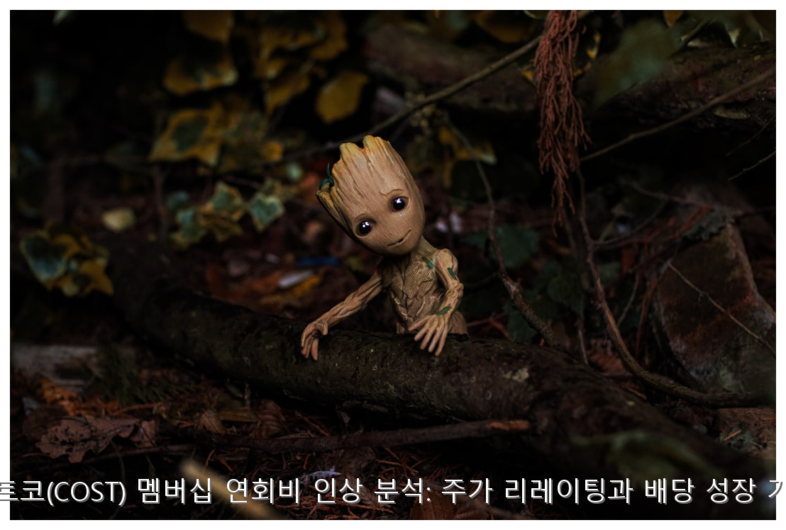 코스트코(COST) 멤버십 연회비 인상 분석: 주가 리레이팅과 배당 성장 가이드 핵심 안내 및 분석 인포그래픽 (4)