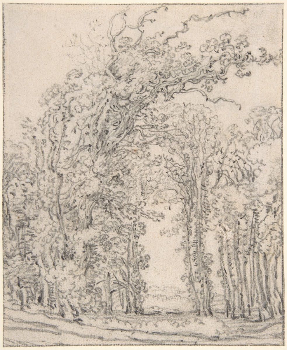 Study of Trees 17th century