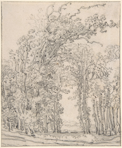 Study of Trees 17th century