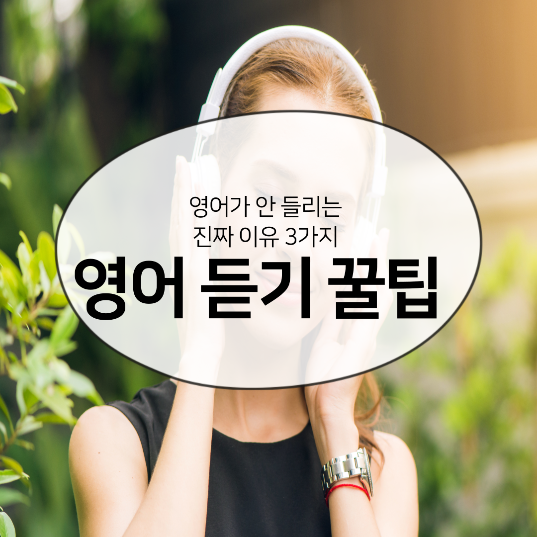 섹션 1 이미지