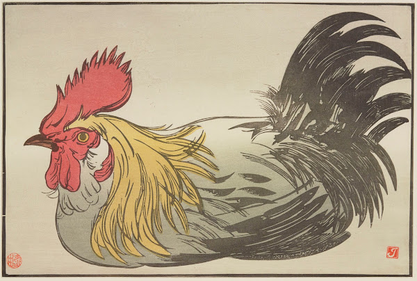 Coq 1908 1912