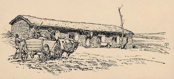 Settlers or farmers arrive at a house in an ox drawn wagon 20th century