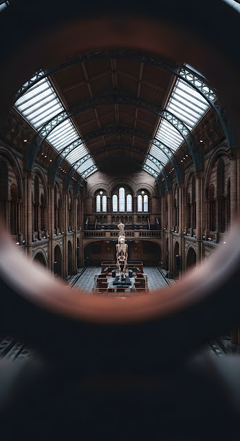 Dramatic View of Grand Victorian Museum Hall Through Blurred Copper Railing - Free mobile Wallpaper