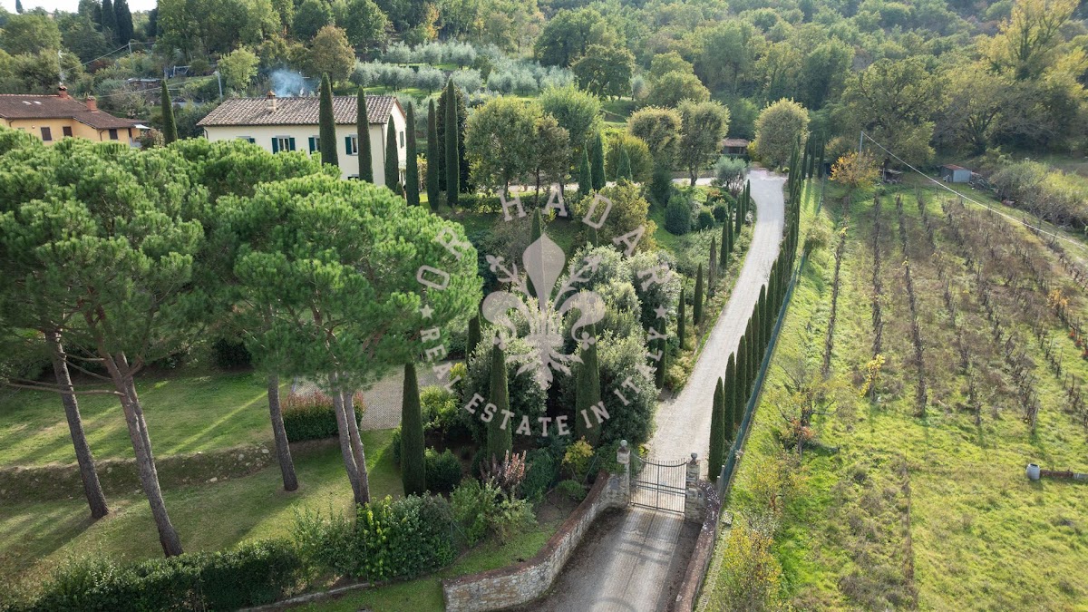 ווילה אלבה (Villa Alba) — 12