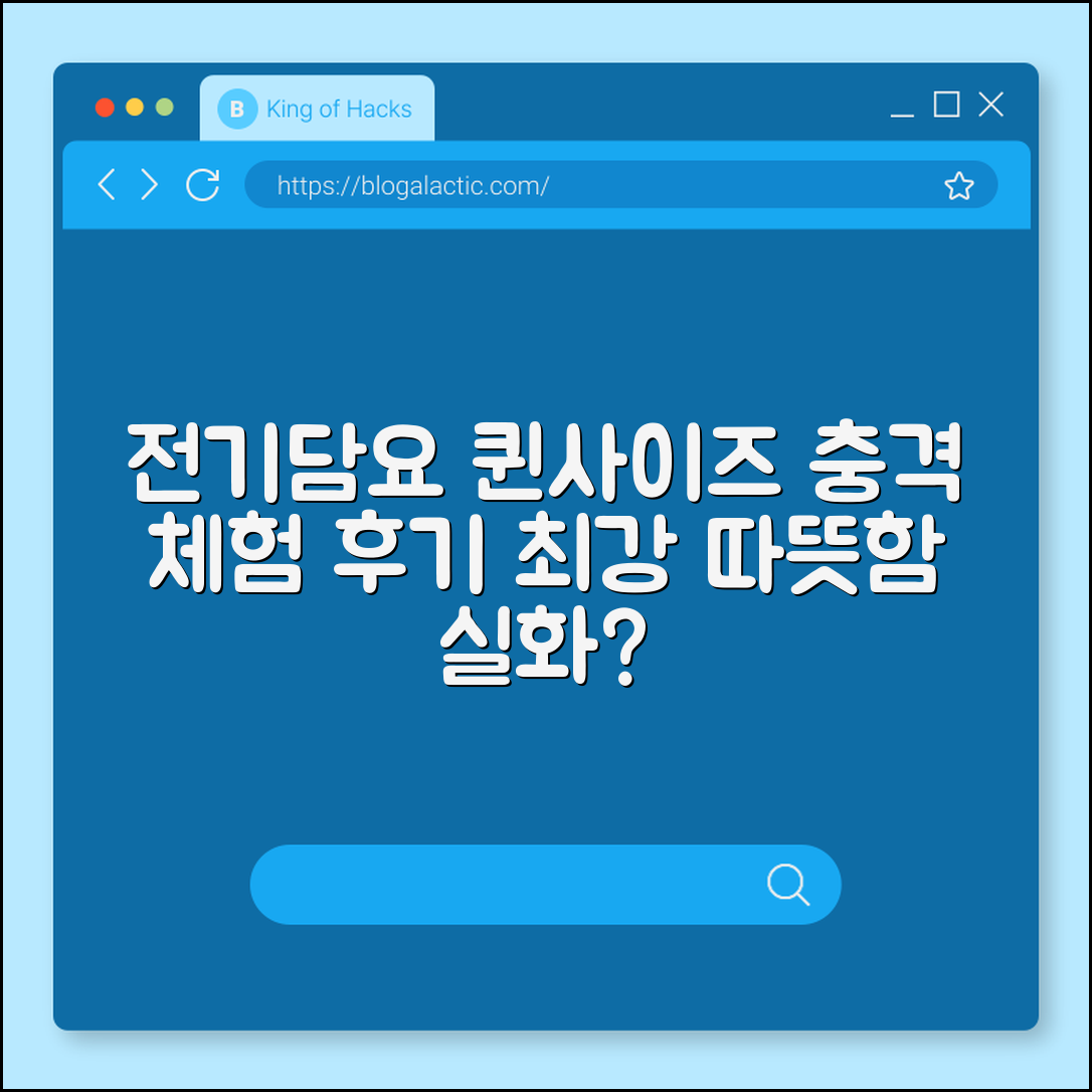 충격적인 전기담요 퀸사이즈 체험 후기