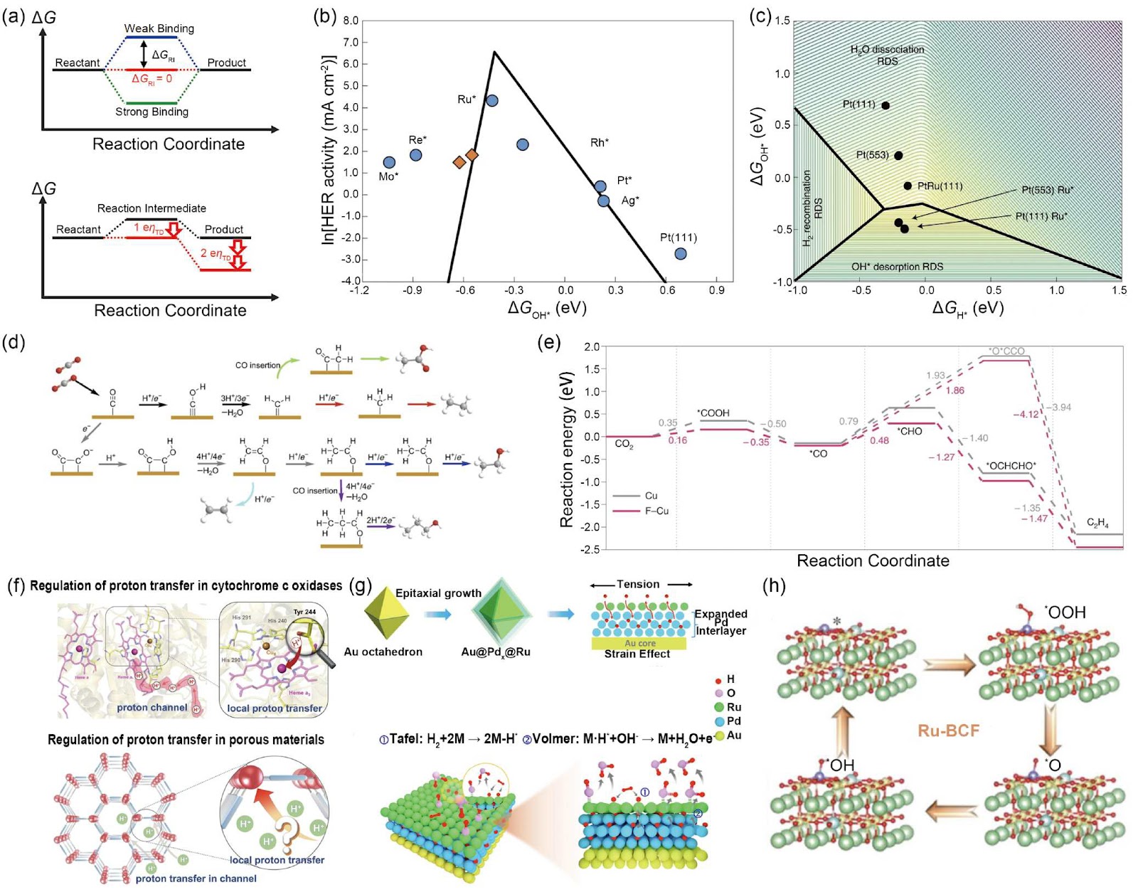 Recent achievements on the modification of microenvironment for fuel cell catalysis