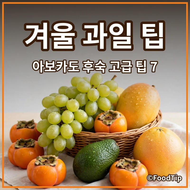4060 과일 마스터를 위한 겨울 이색 과일 활용 7가지 고급 팁 (아보카도 후숙부터 메로골드 자몽까지)