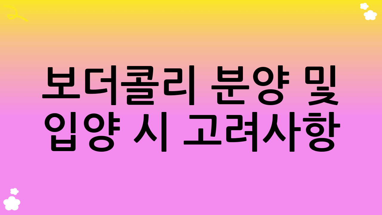 보더콜리 분양 및 입양 시 고려사항