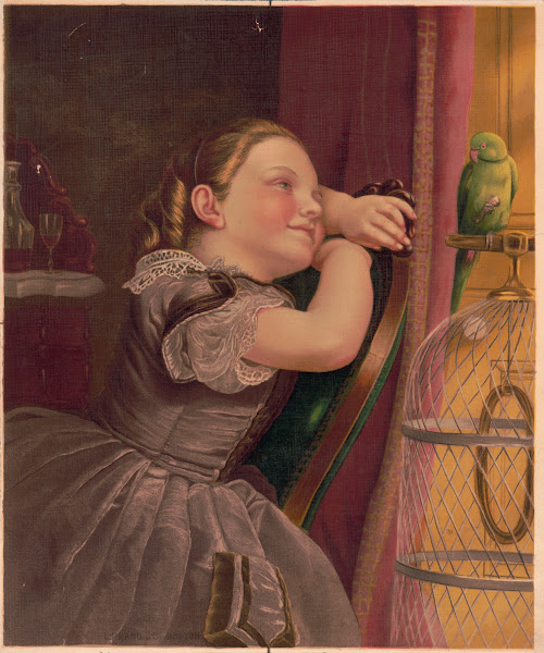 Our pet Polly 1872