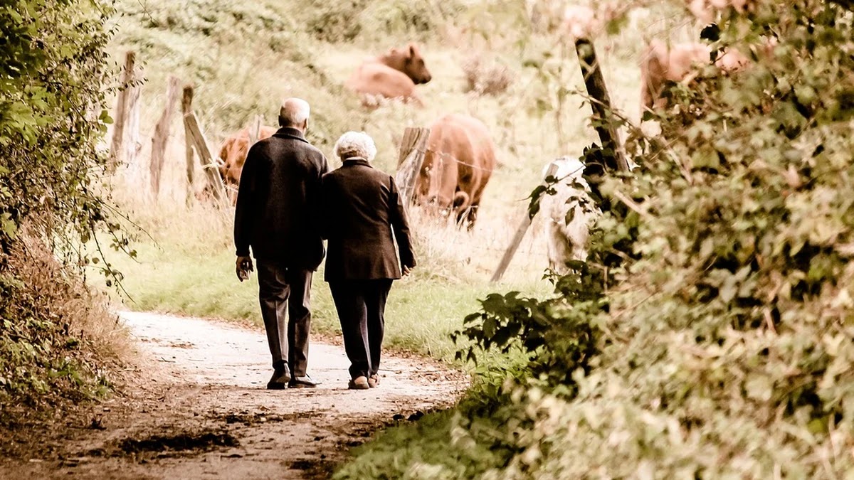 비용 대비 효과 좋은 노화 예방 병원 프로그램 비교