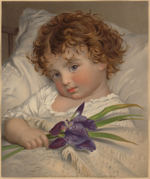 Prattling Primrose 1873