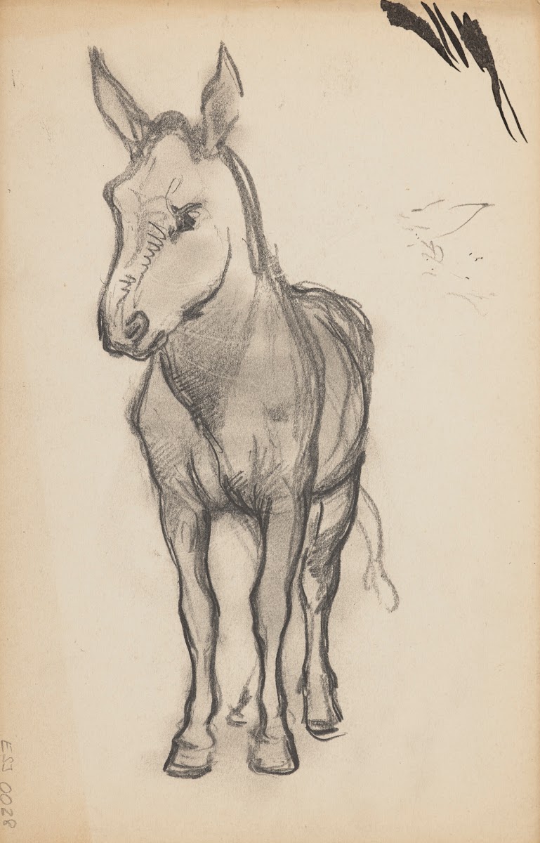 Études danimaux de paysages et de modèles
