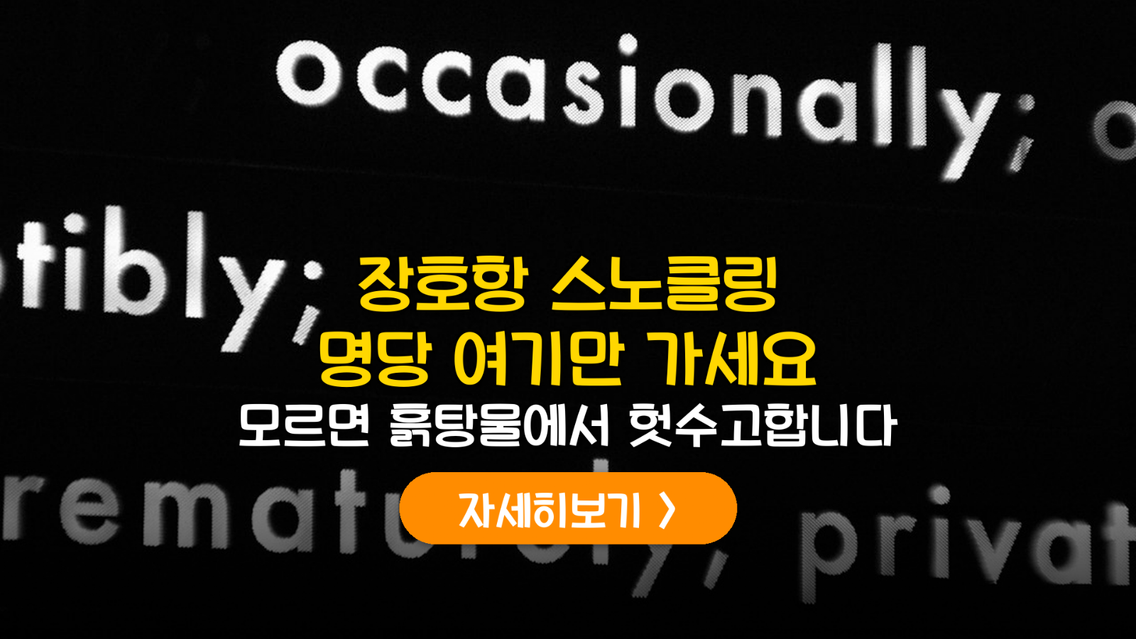 삼척 장호항 스노클링 물때와 명당 가이드