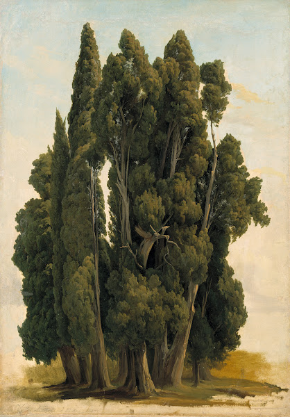 Cypresses Study 1843
