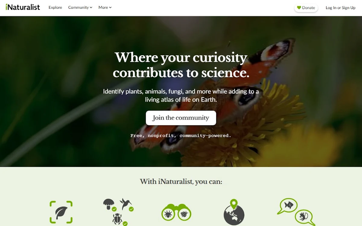 Captura de iNaturalist