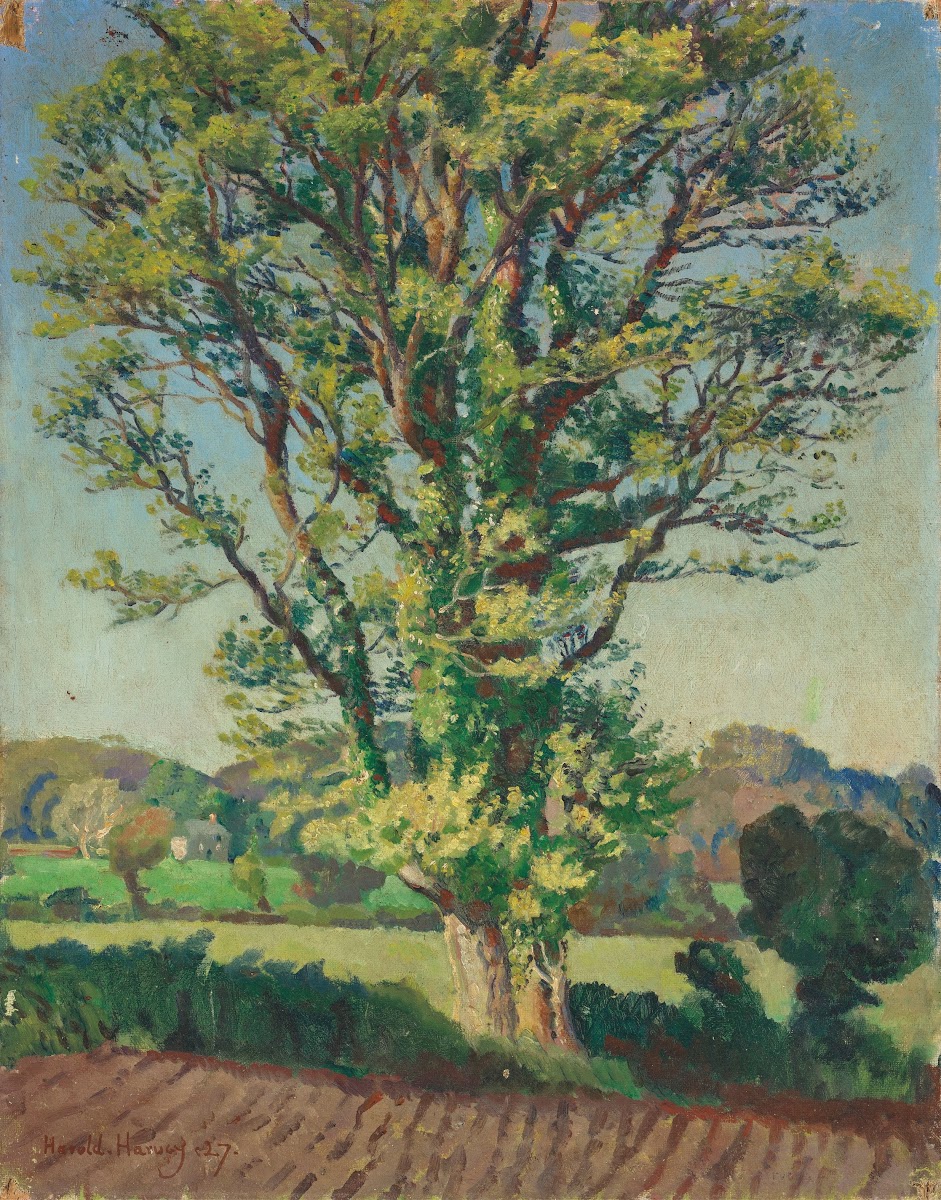 The Elm Tree 1927